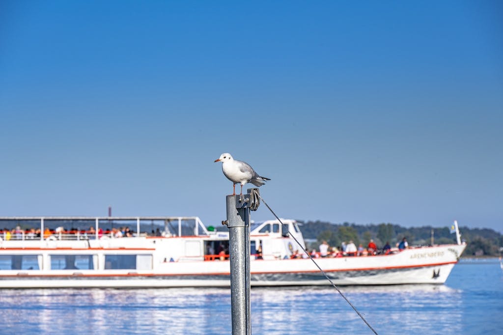 URh-Saisonkarten 2026