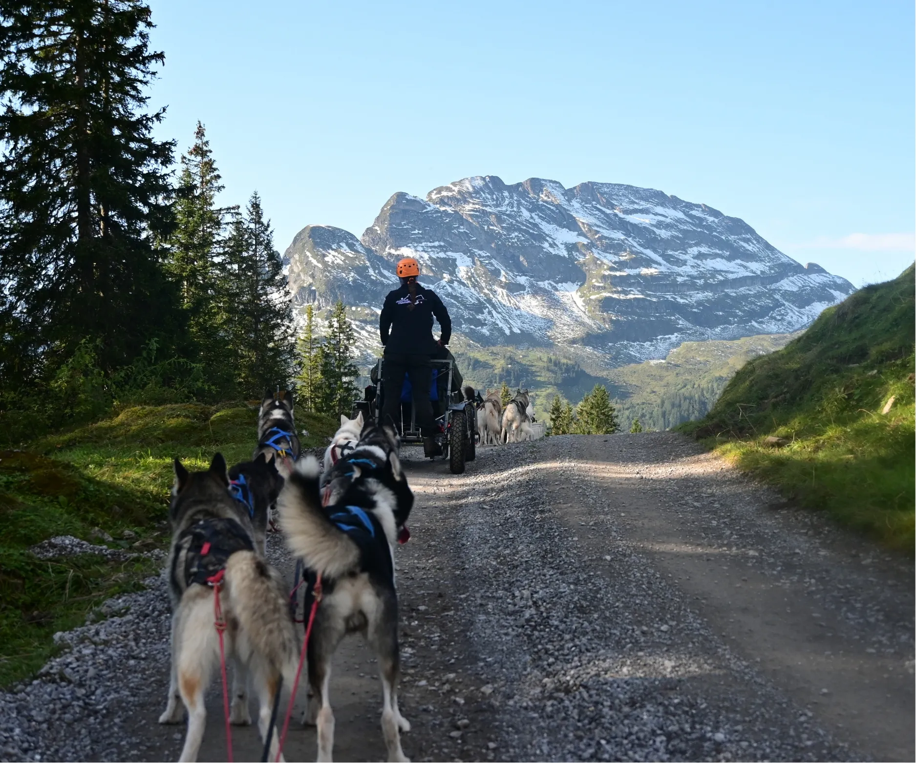 Husky-Wagentraining (Herbst)