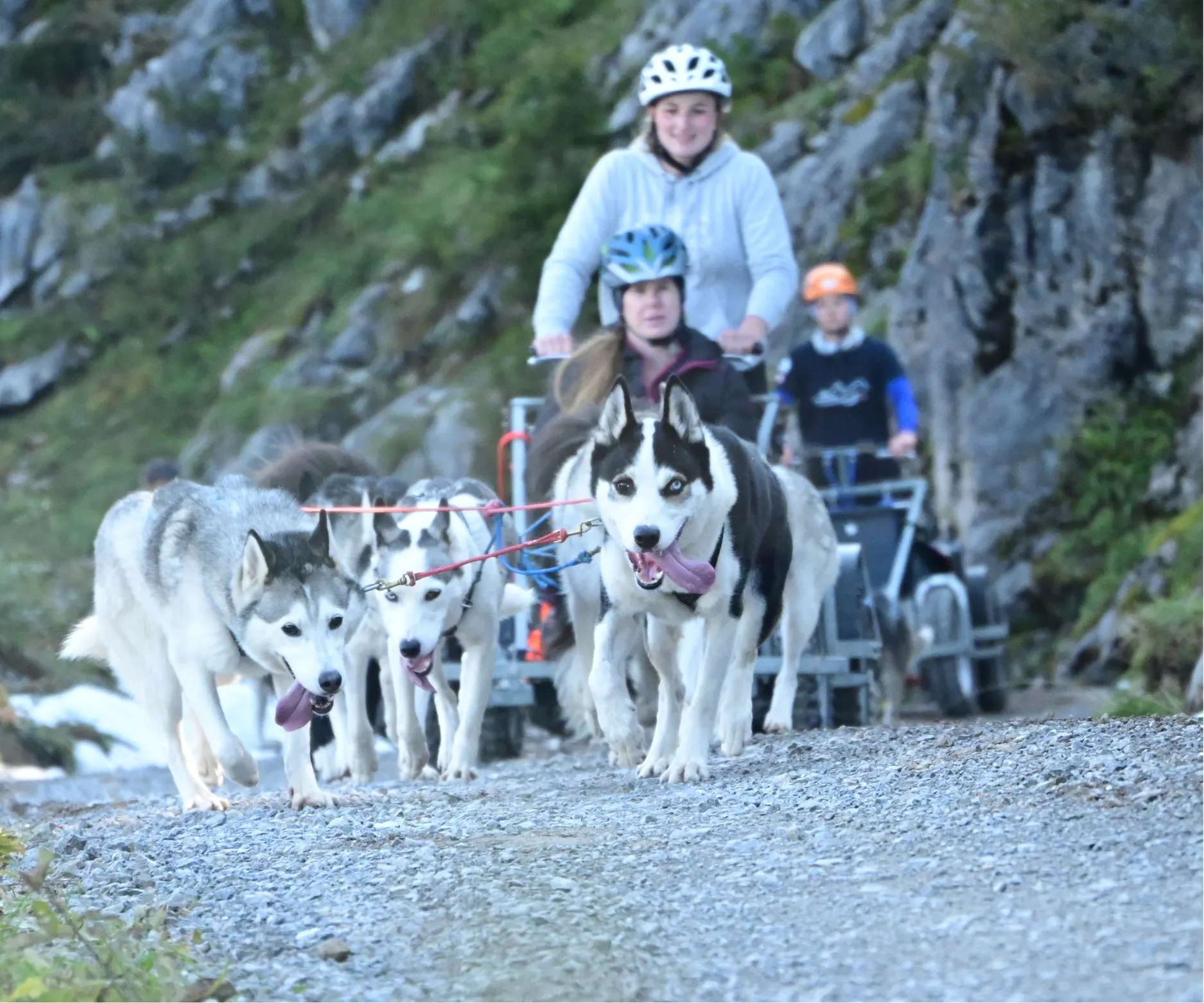 Schnupper-Wagentraining (Herbst)