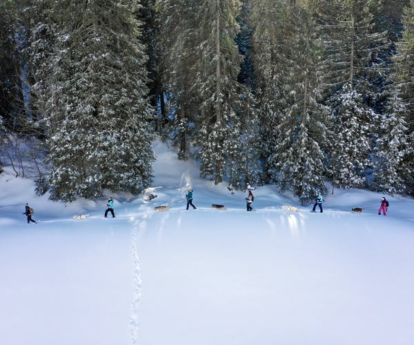 Schneeschuhtour mit Huskies