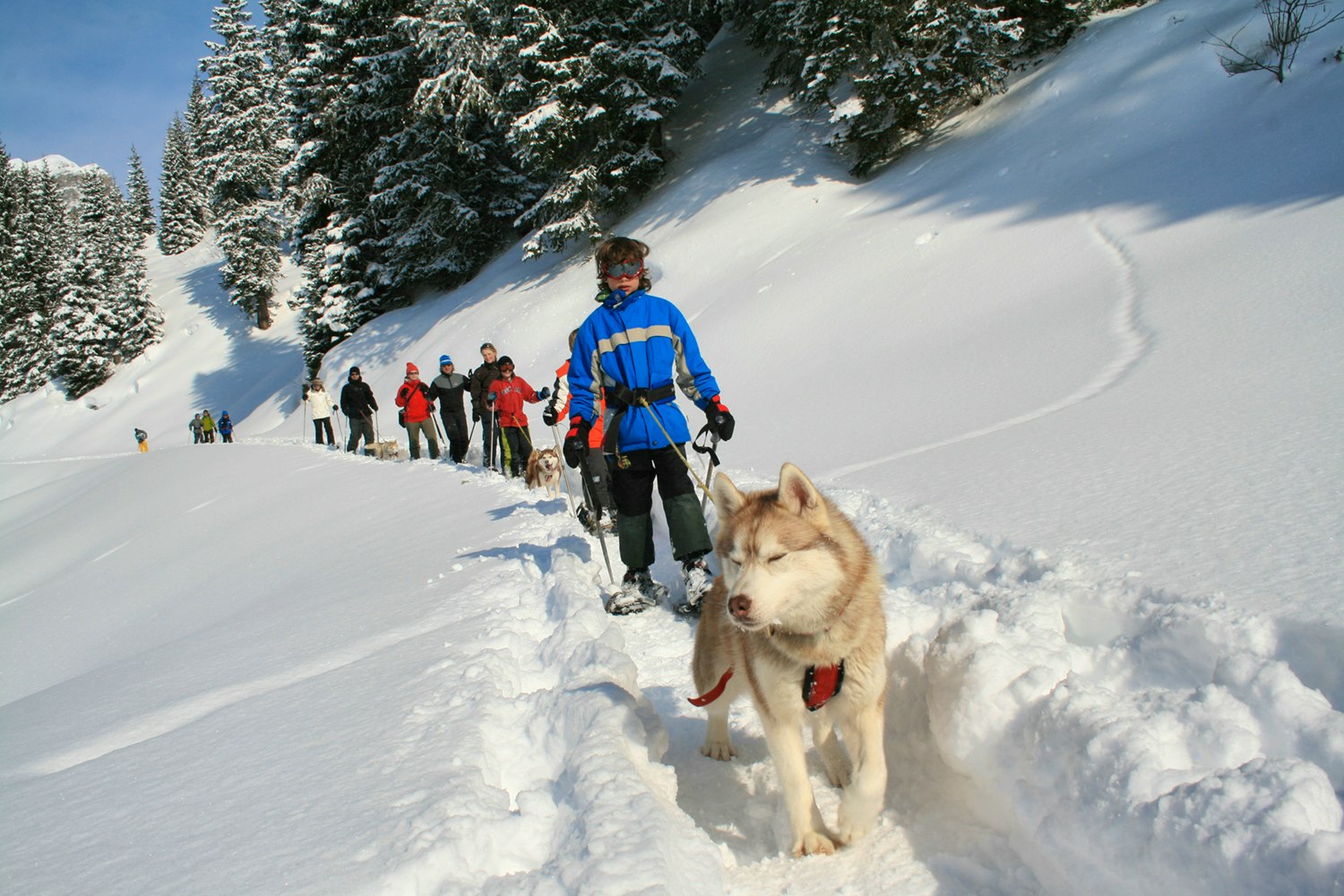 Schneeschuhtour mit Huskies