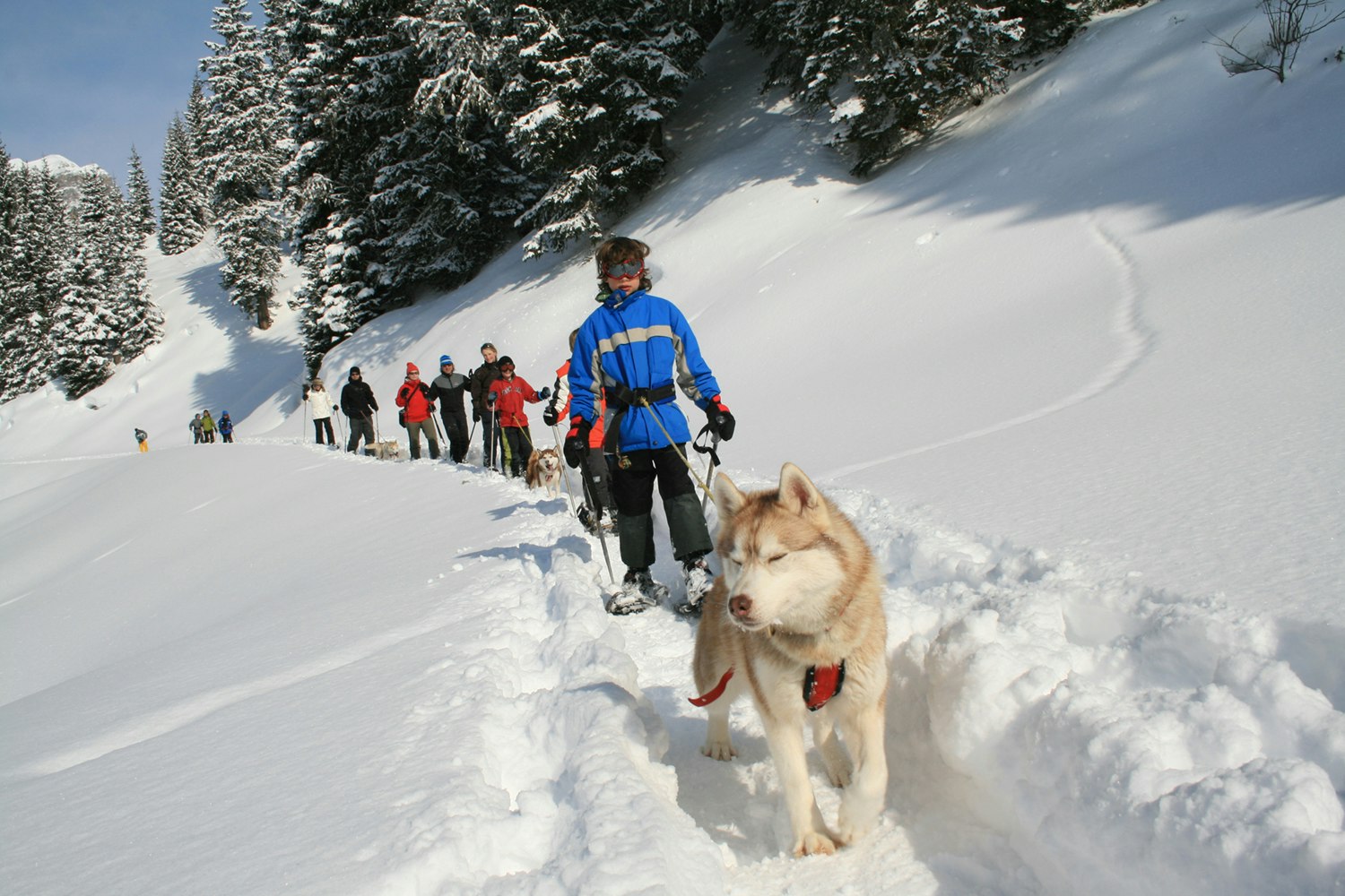 Schneeschuhtour mit Huskies