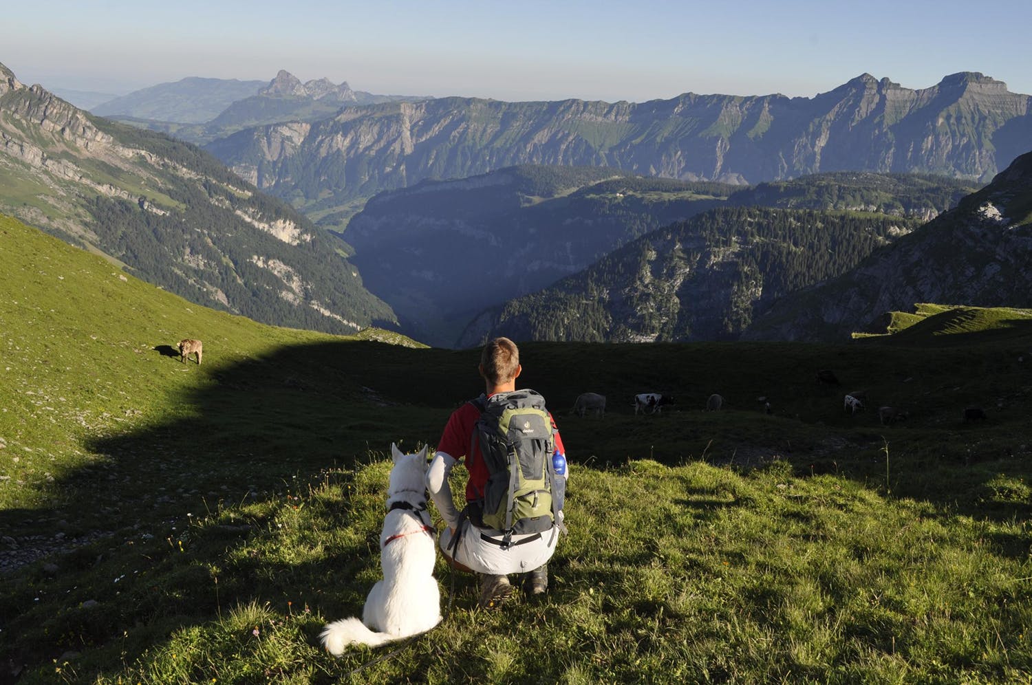 Husky-Trekking