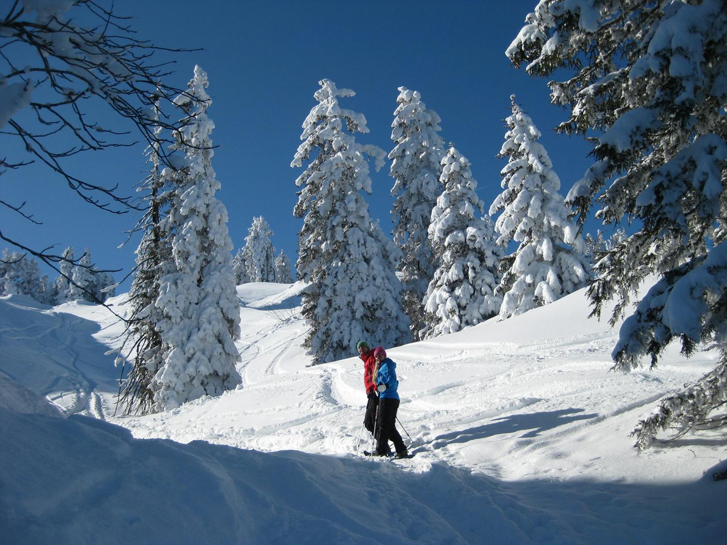 Schneeschuhtouren