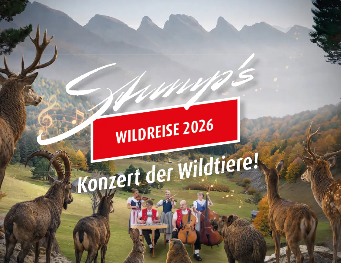 Wild-Buffet