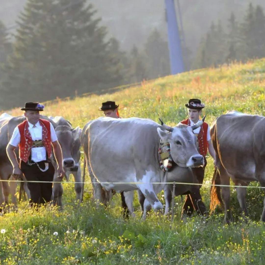 Ländler ZmitTAG - Toggenburger Buffet mit "Churfirste Gruess"