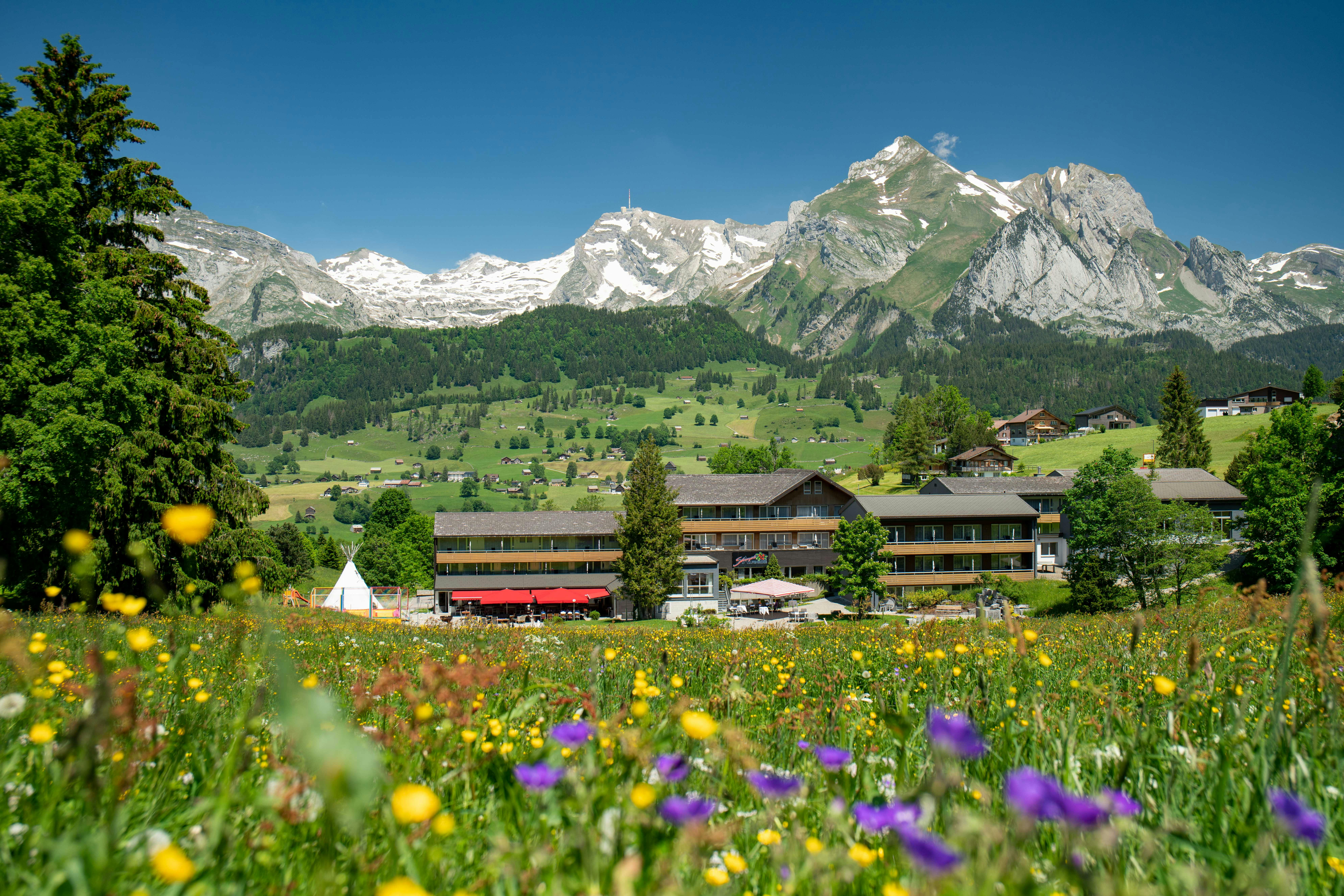 Wertgutschein
