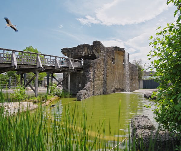 Tagesführung durch den Zoo