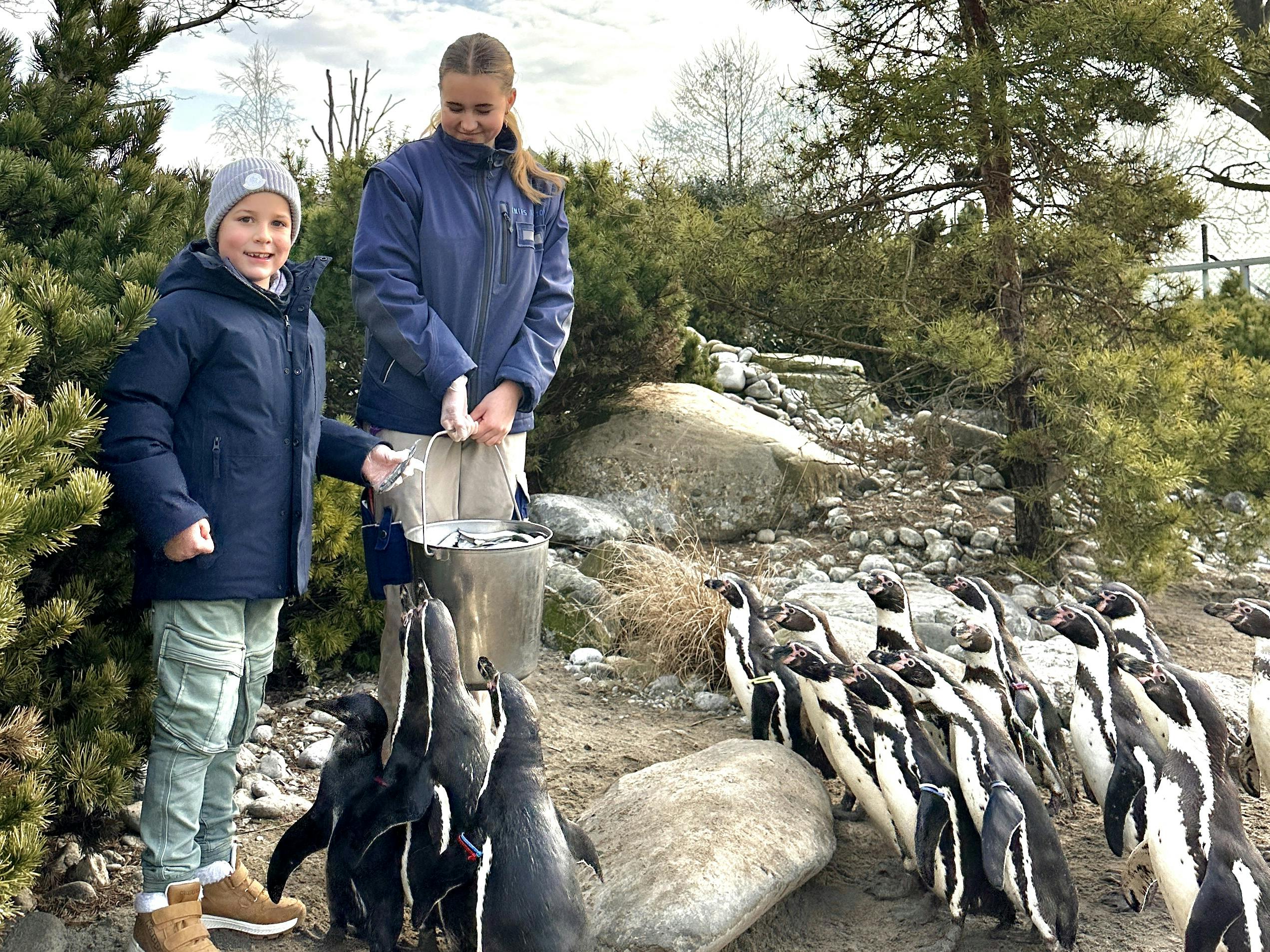 Fütterung der Pinguine