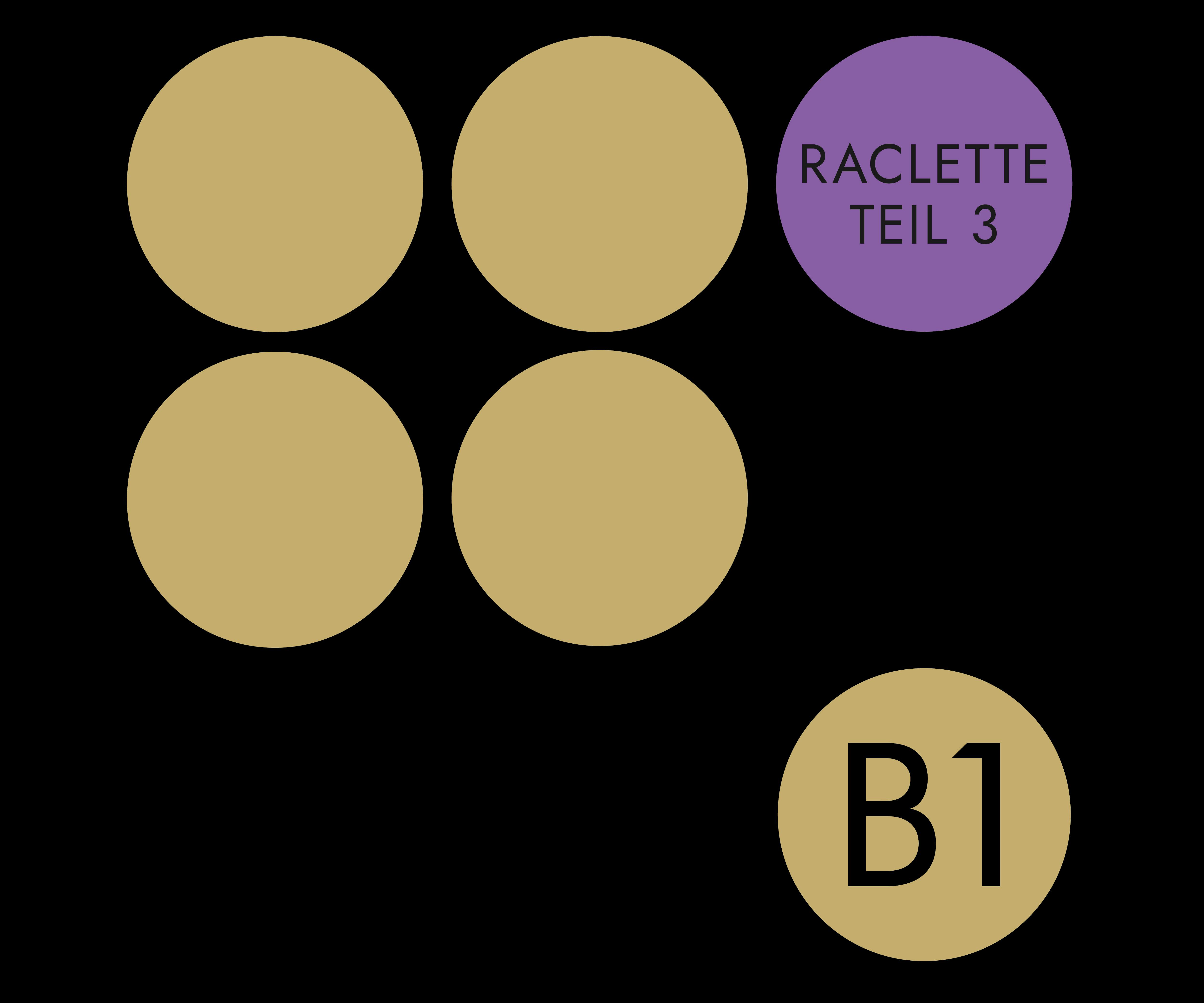 Raclette & Genuss mit Aussicht