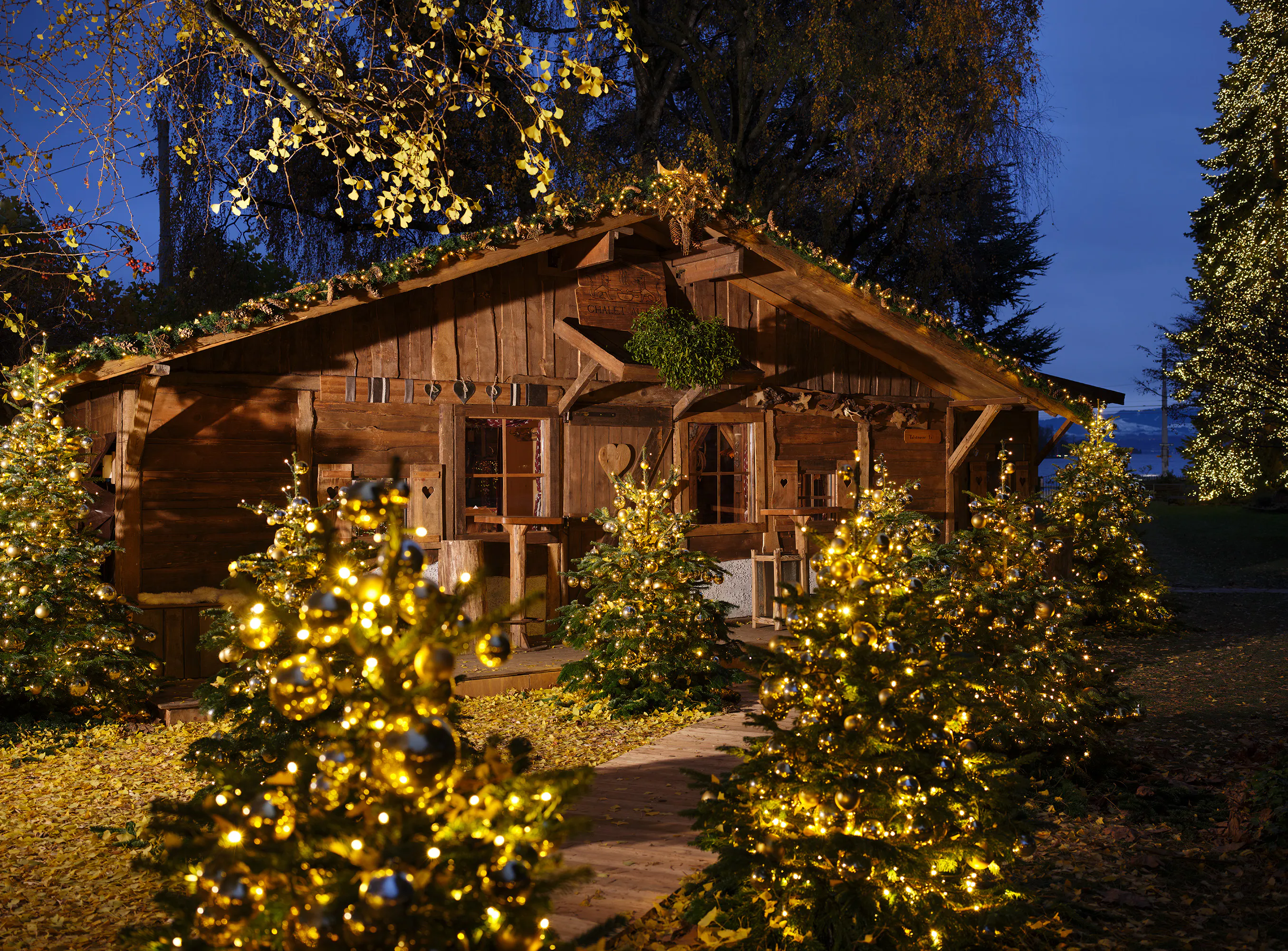 Festive Dining