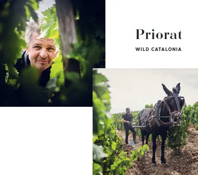 Wine & Dine Álvaro Palacios