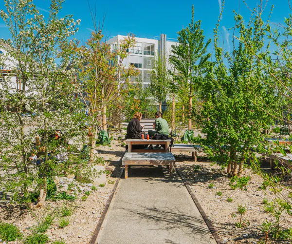 Greening the Campus Walk – MESH FESTIVAL