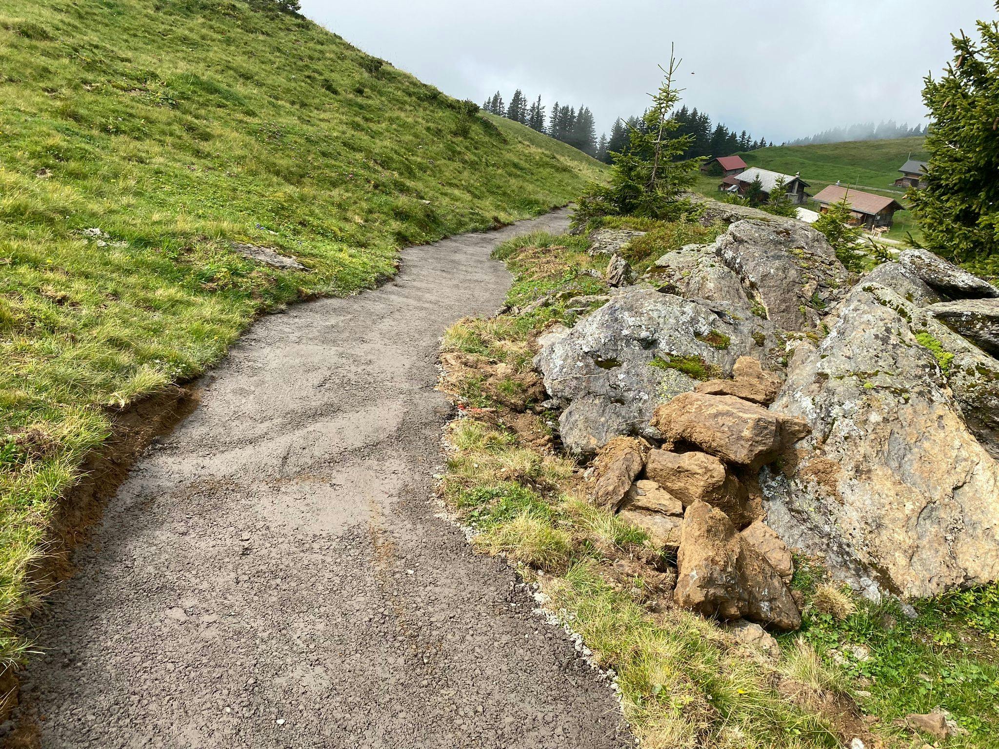 Einzelfahrten ab Hasliberg Twing