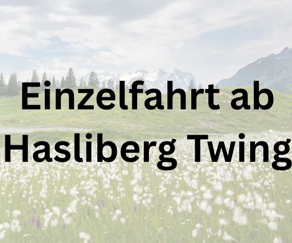 Billets au départ de Hasliberg Twing