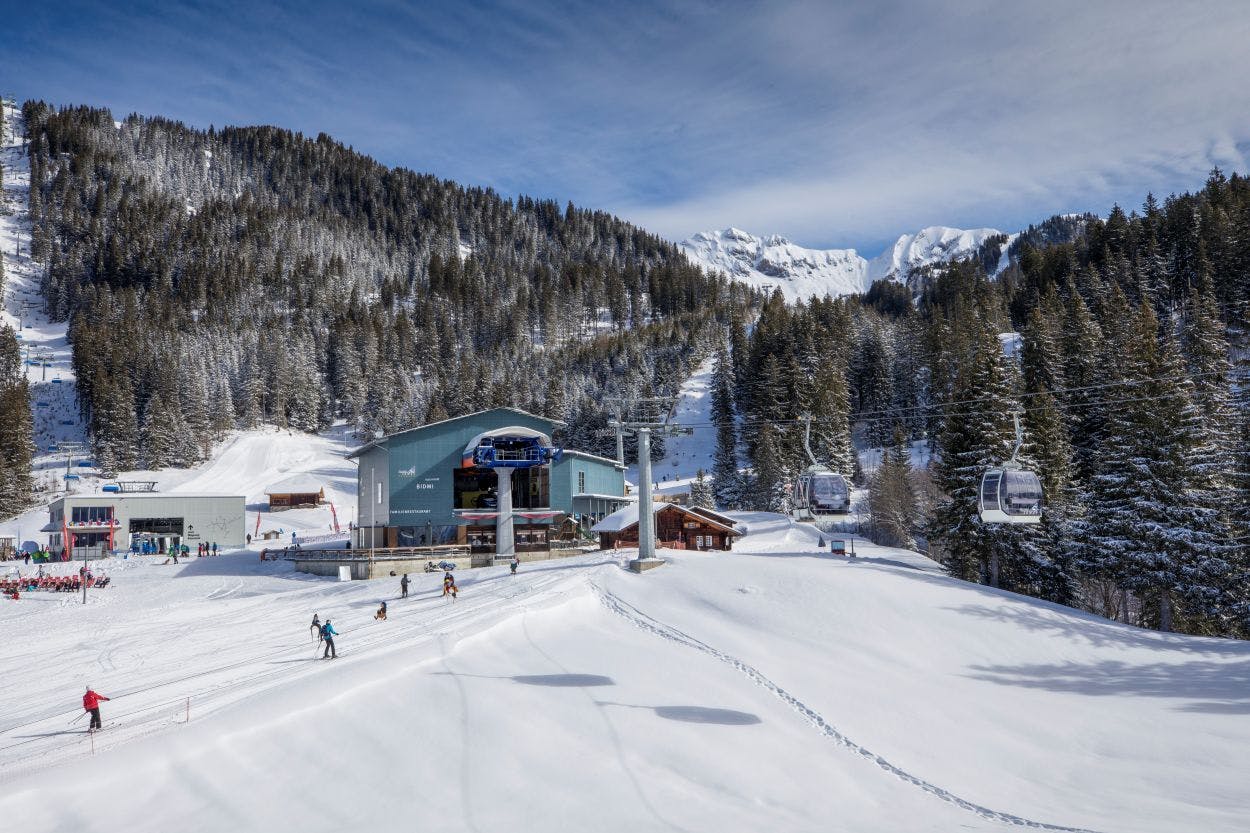 Courses simple à partir de Bidmi