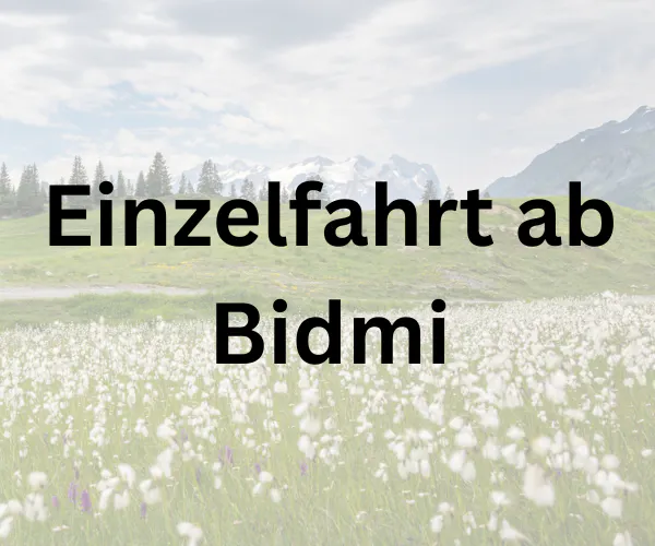 Einzelfahrt ab Bidmi