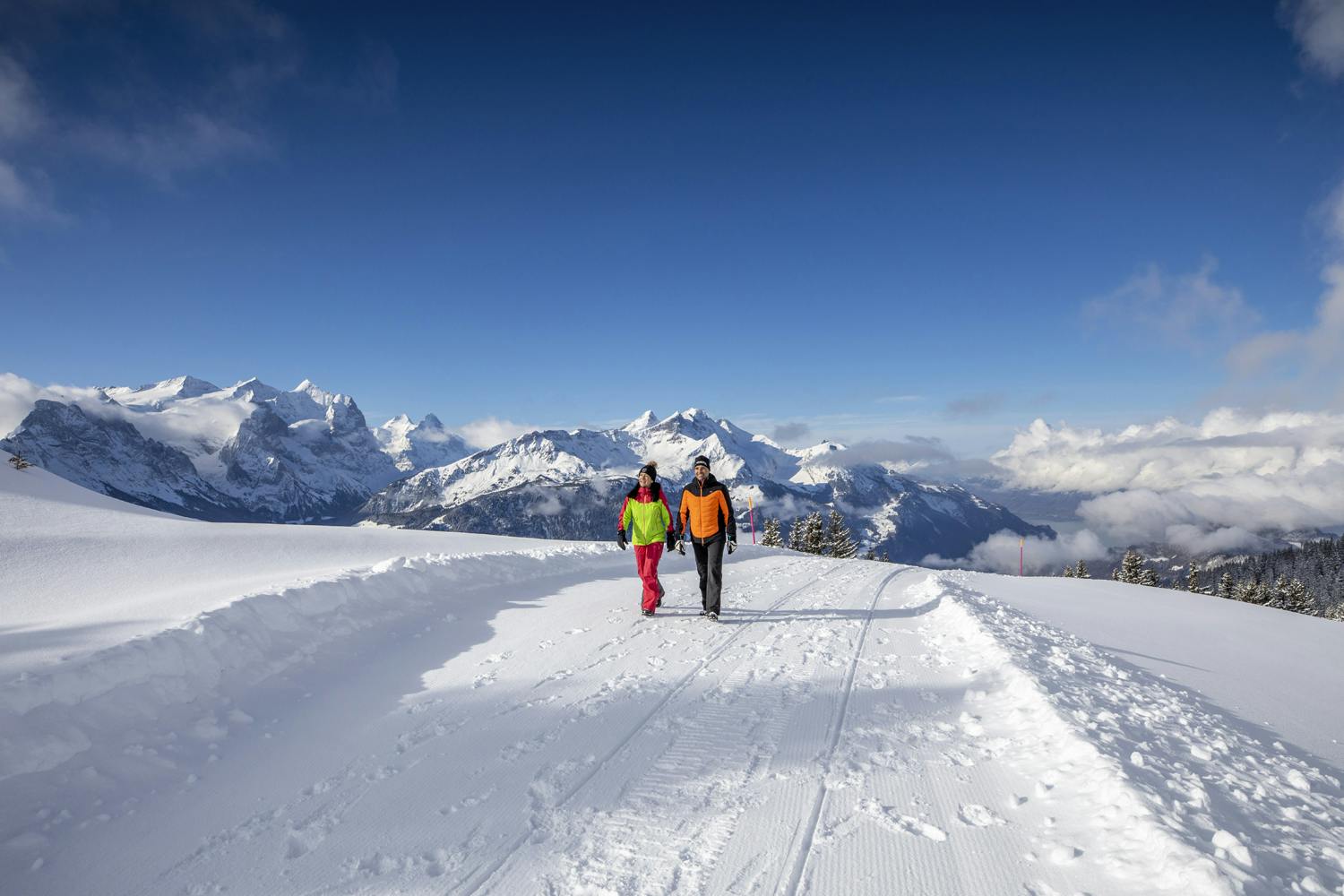 Courses simple à partir de Lischen