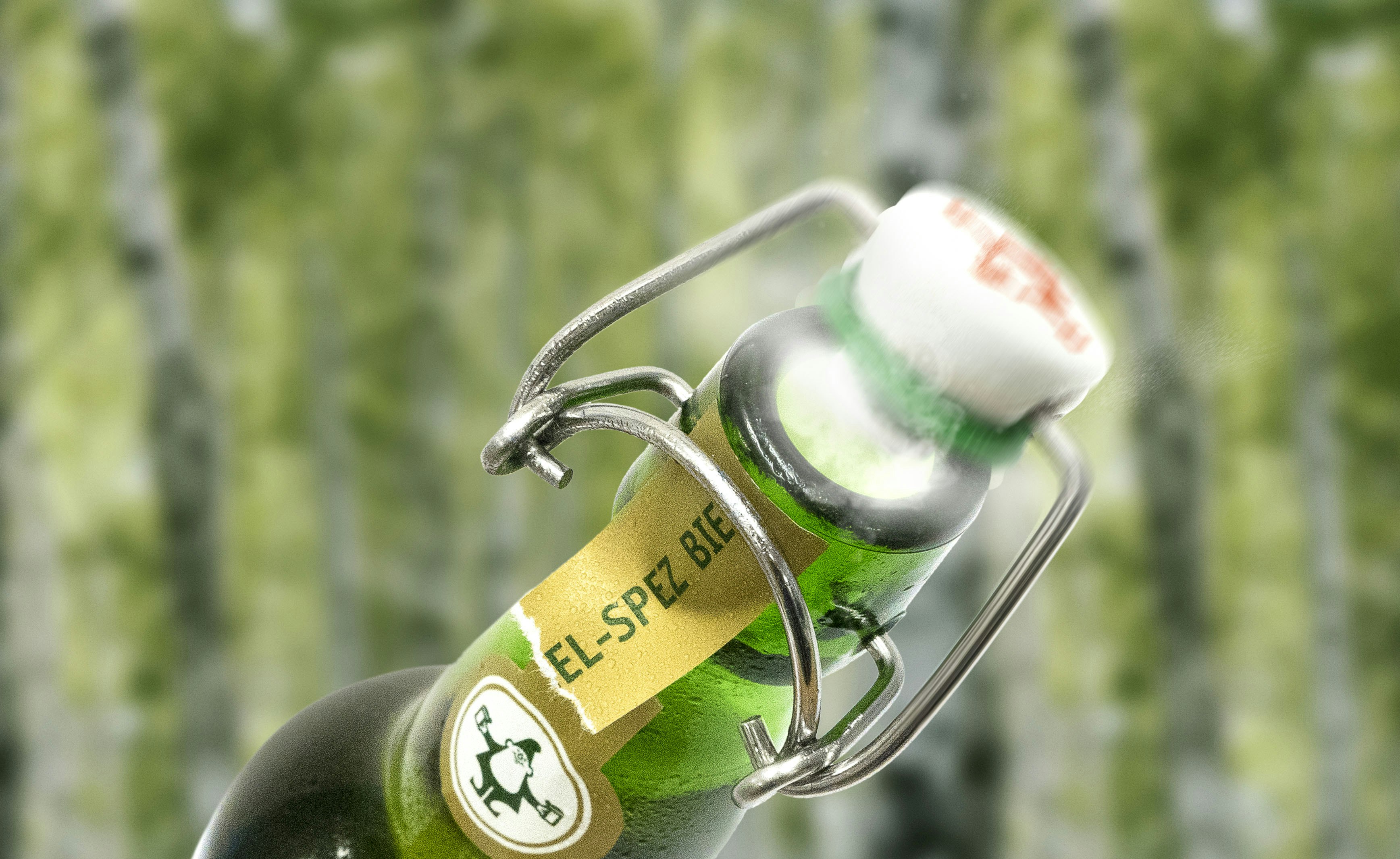 <strong>BIER(S)PASS</strong>