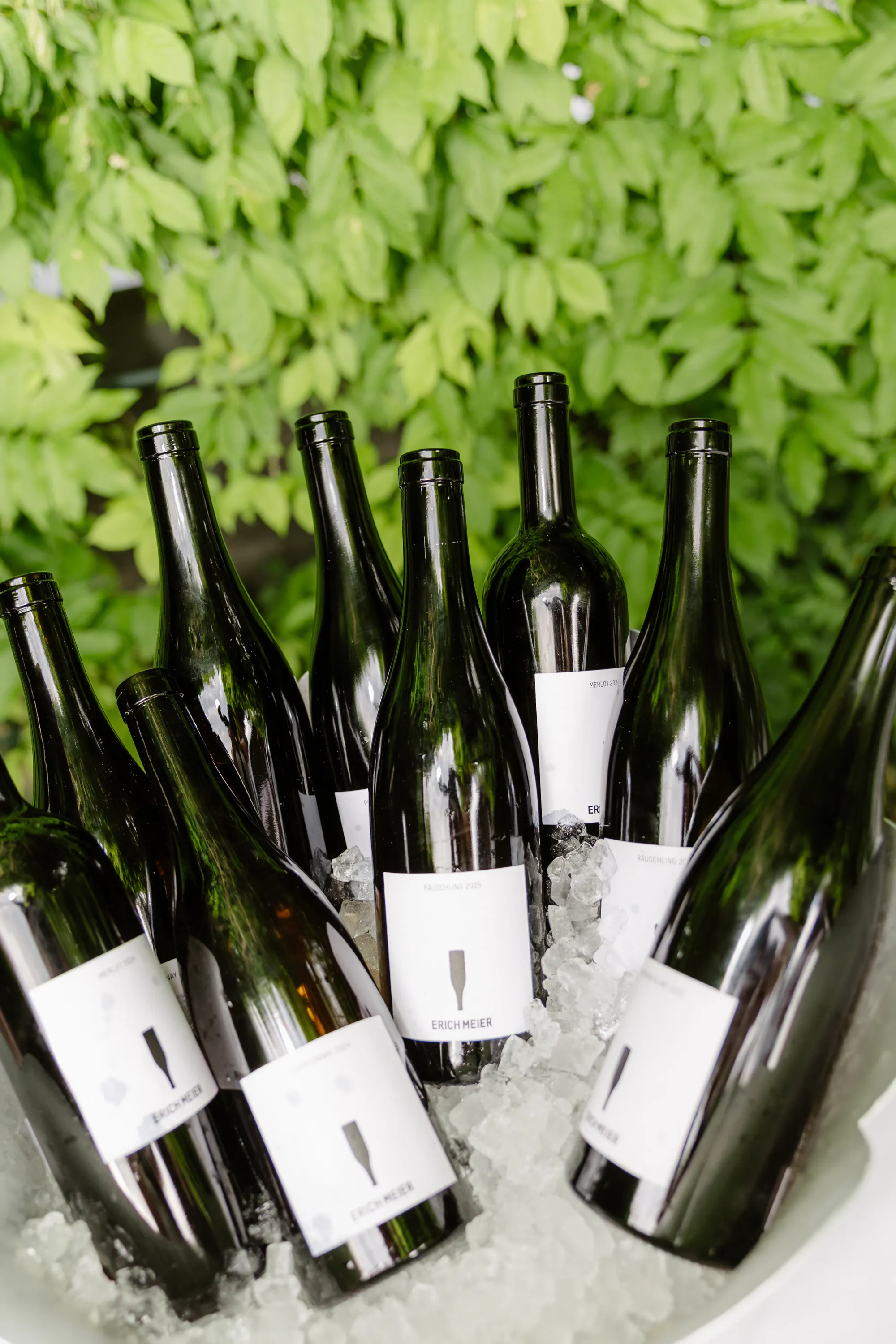 Groove & Grape – Wine, Music & Good Vibes
