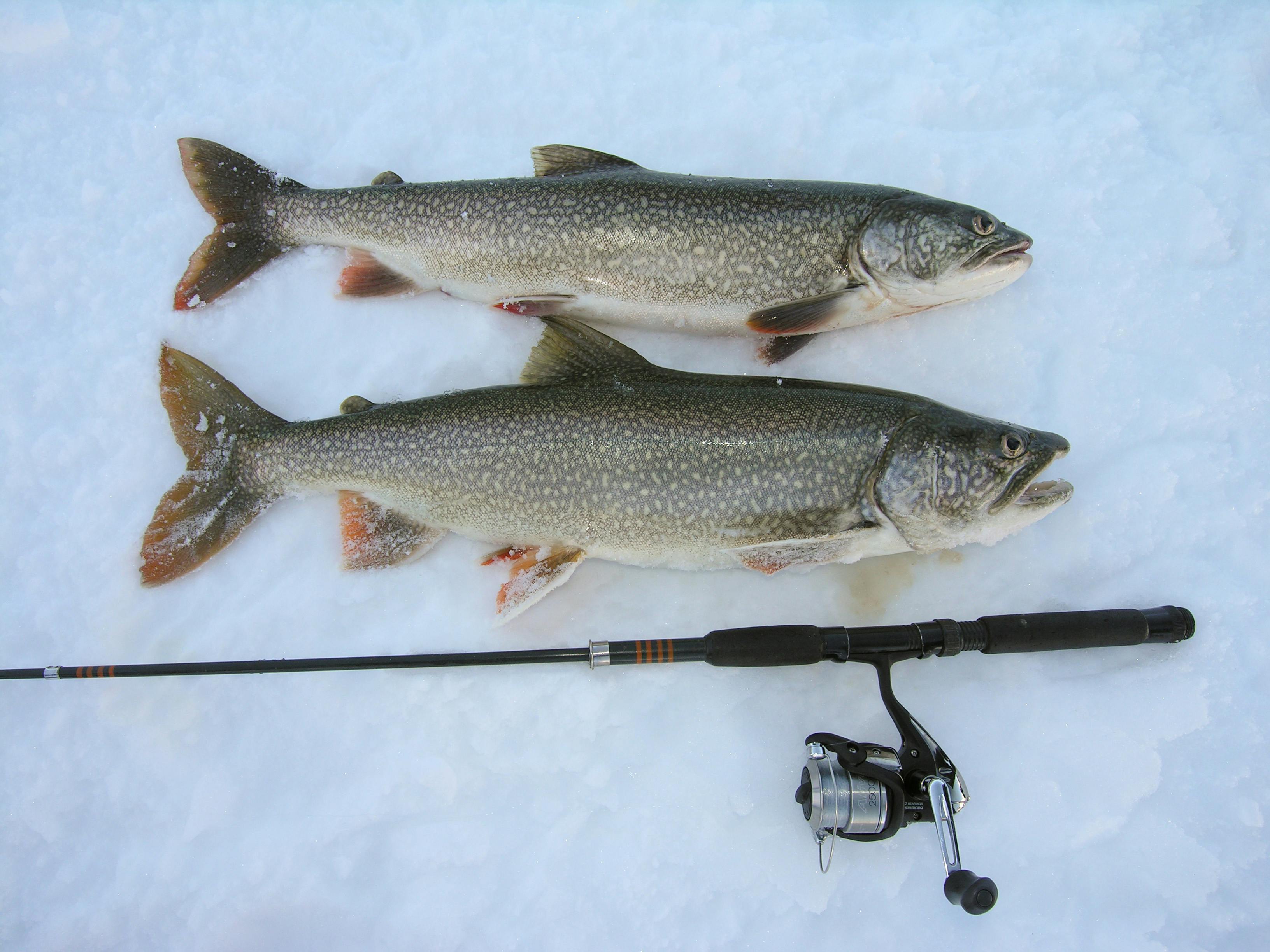 Karfreitags-Eisfischen