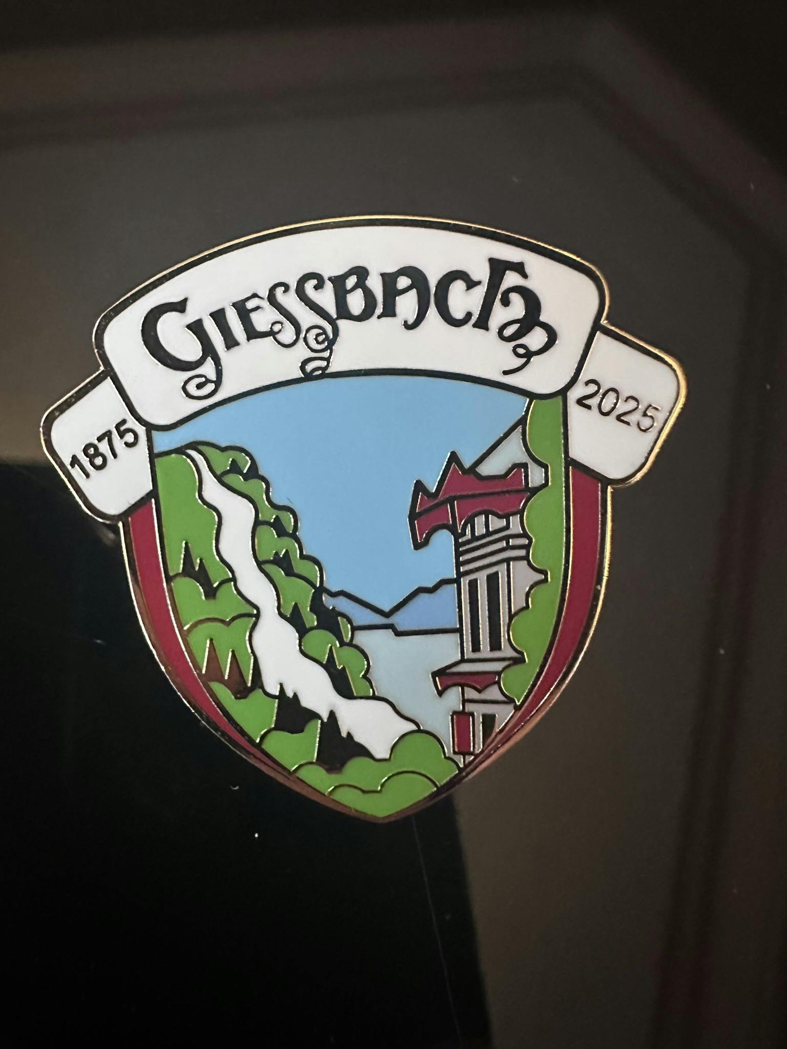 Anniversary Pin