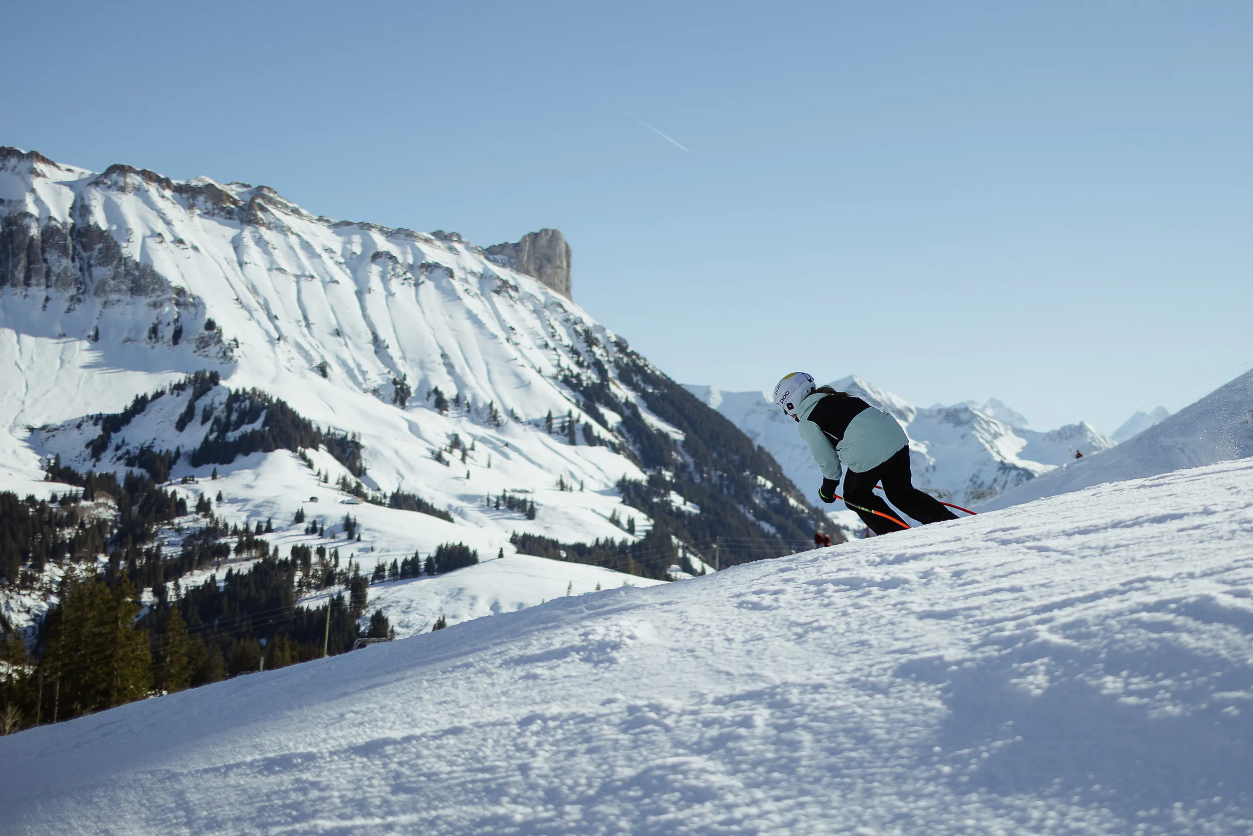Ski-Tageskarte