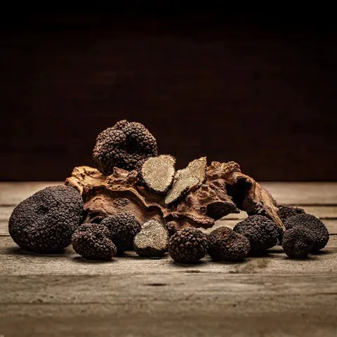 Wine & Dine - Serata al tartufo