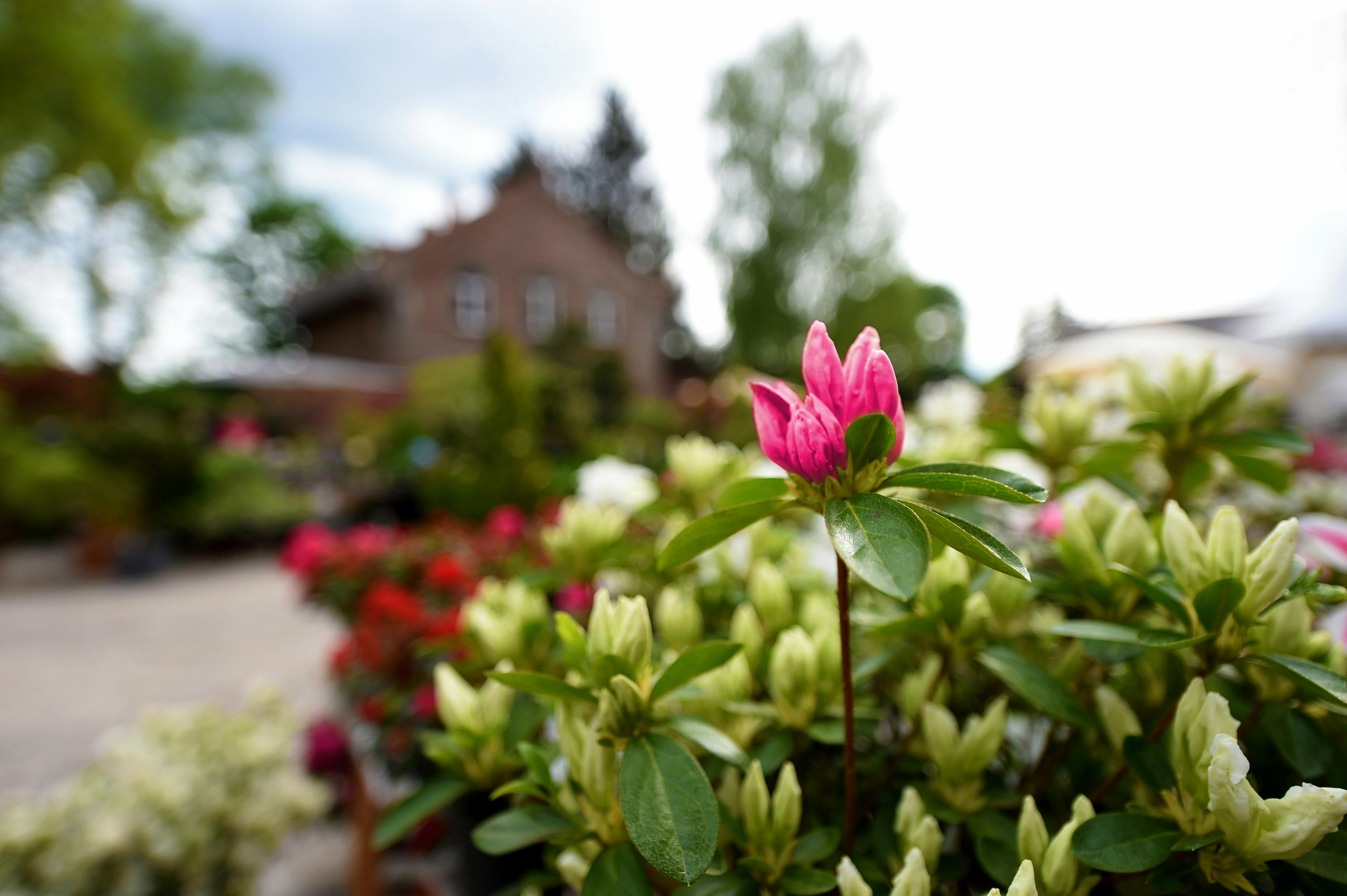 Das Fürstliche Gartenfest - Hofgut Kranichstein 2025