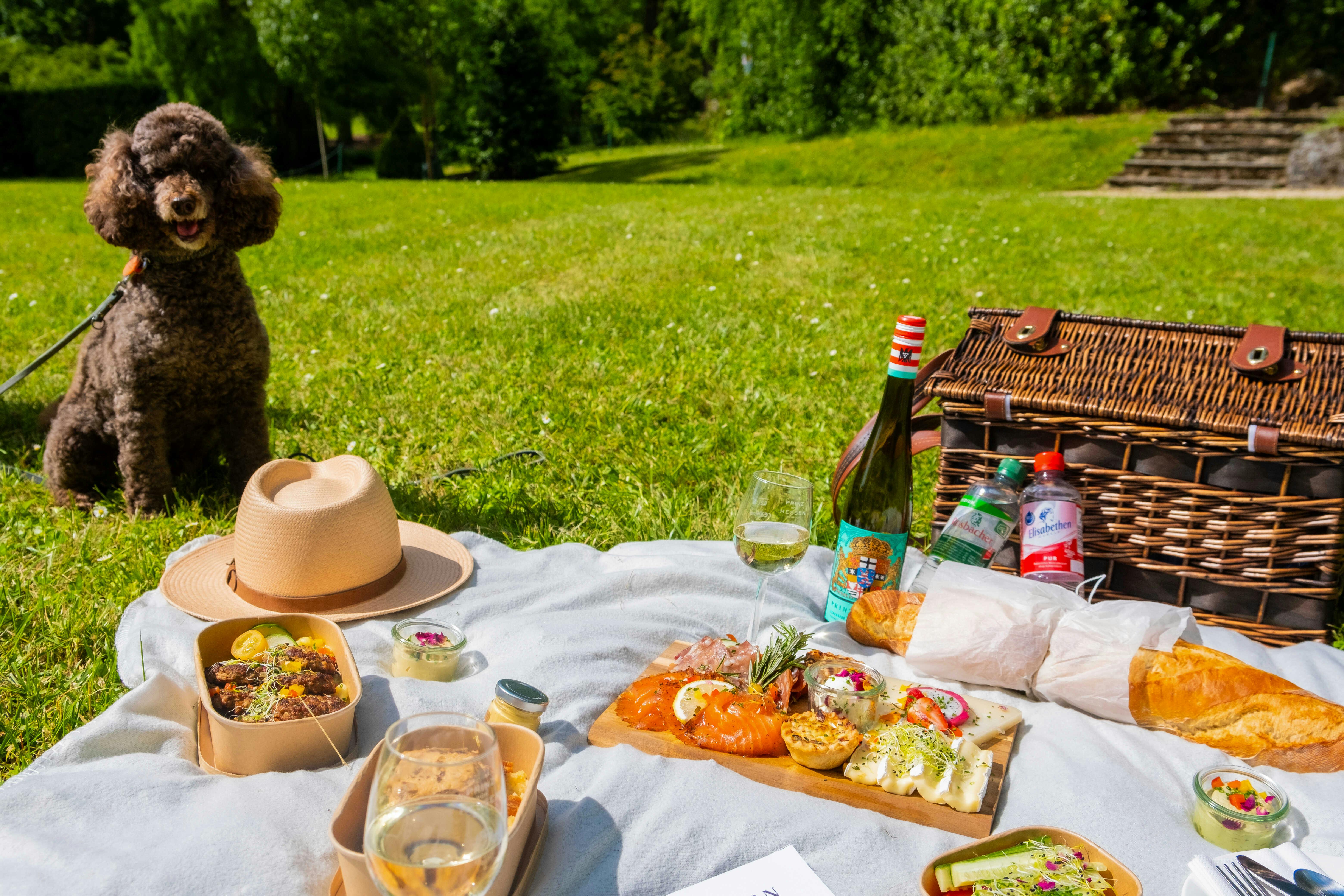 Picknick im Park 2025