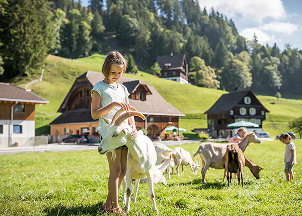 Zum Onlineshop für Events