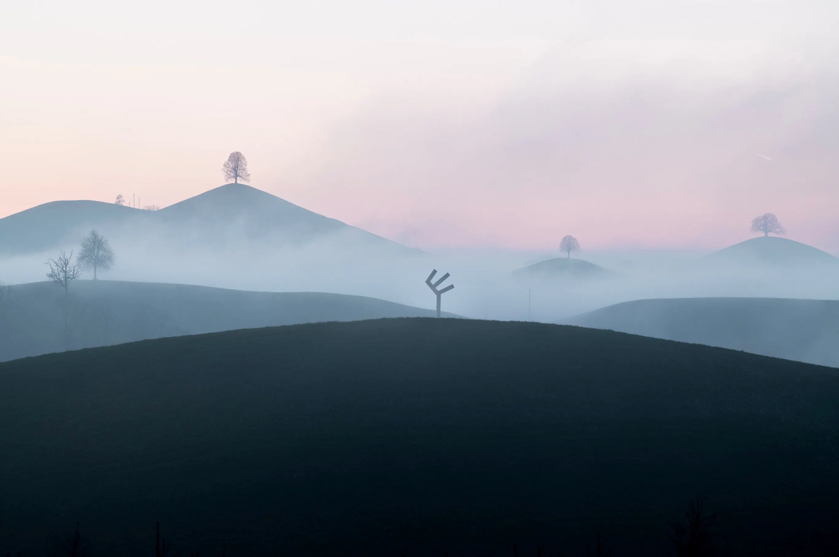 Light & Landscape