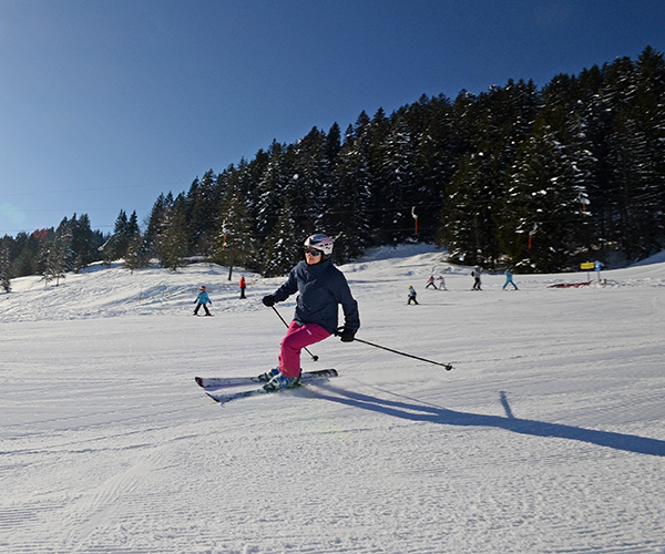Skiing day pass (Winter 2023/24)