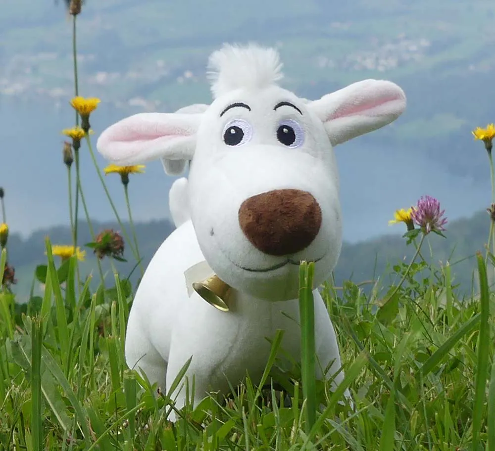 Kira the cuddly goat