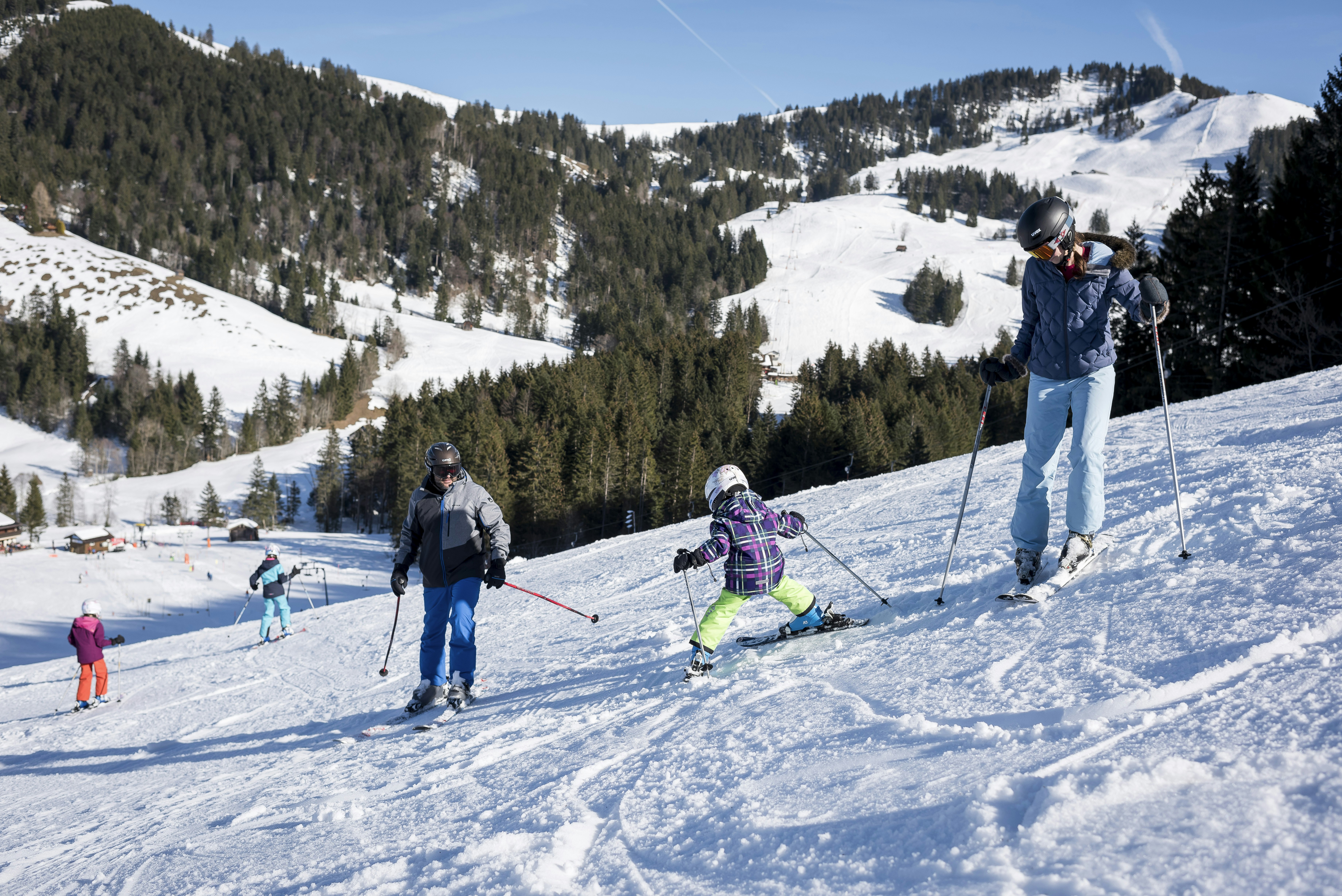 Tageskarte Skifahren