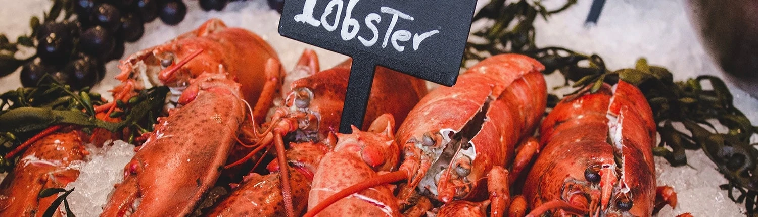 Lobster Friday