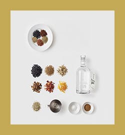 Gin-Workshop & Genusswochenende