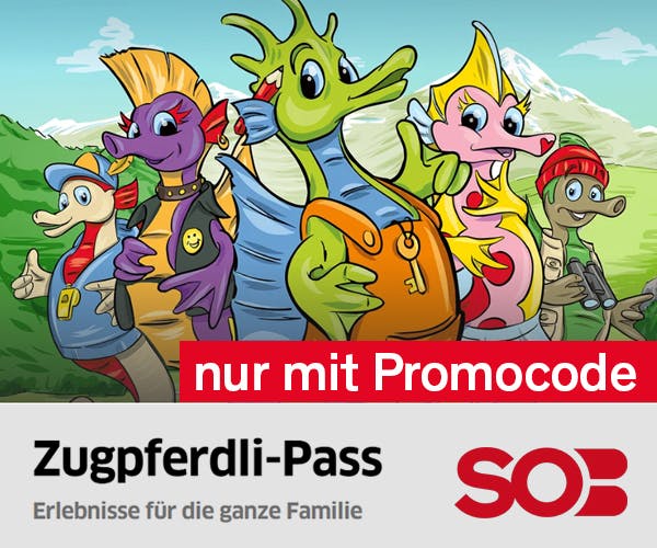 Familienkarte - SOB Familien-Pass