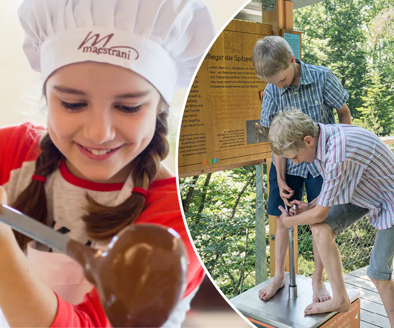 Frühlingskombi: Baumkronen & Schoggiglück