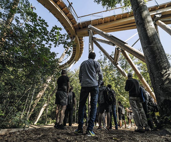 Öffentliche Führung