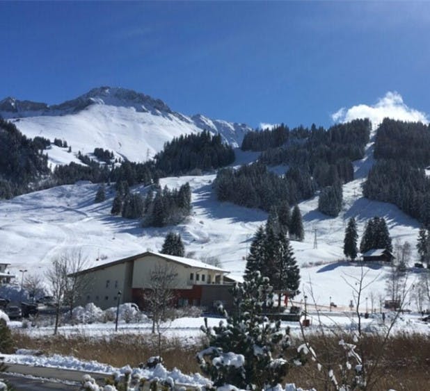 Action(s) Kaisereggbahnen Schwarzsee AG