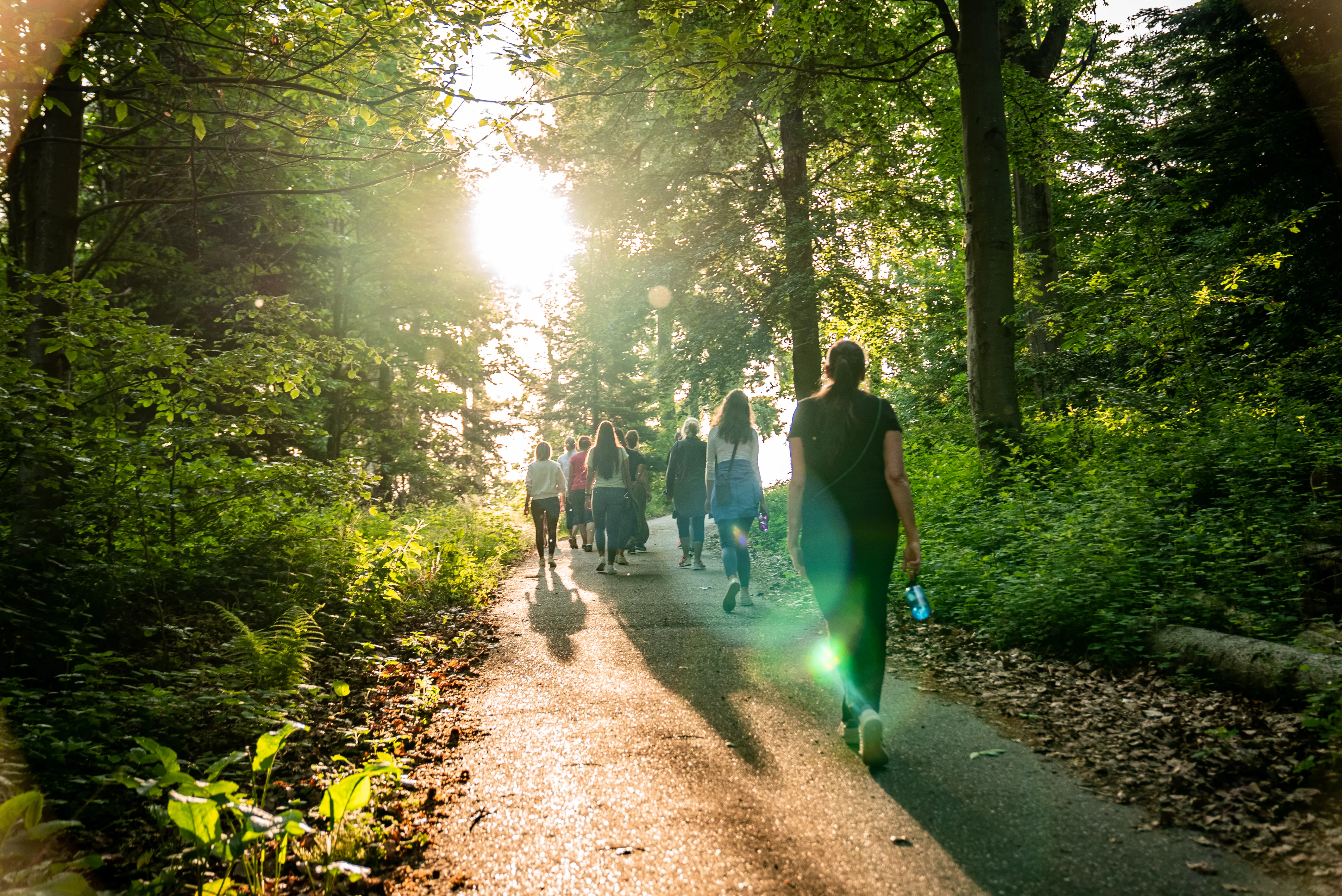 Donnerstag | Geführte Wanderung
