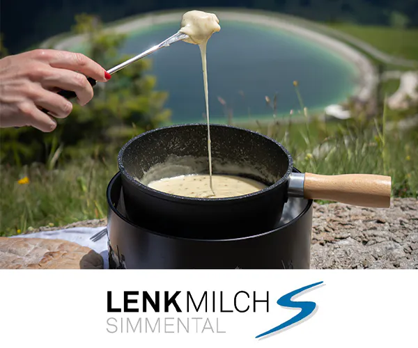 Fondue Rucksack LENK