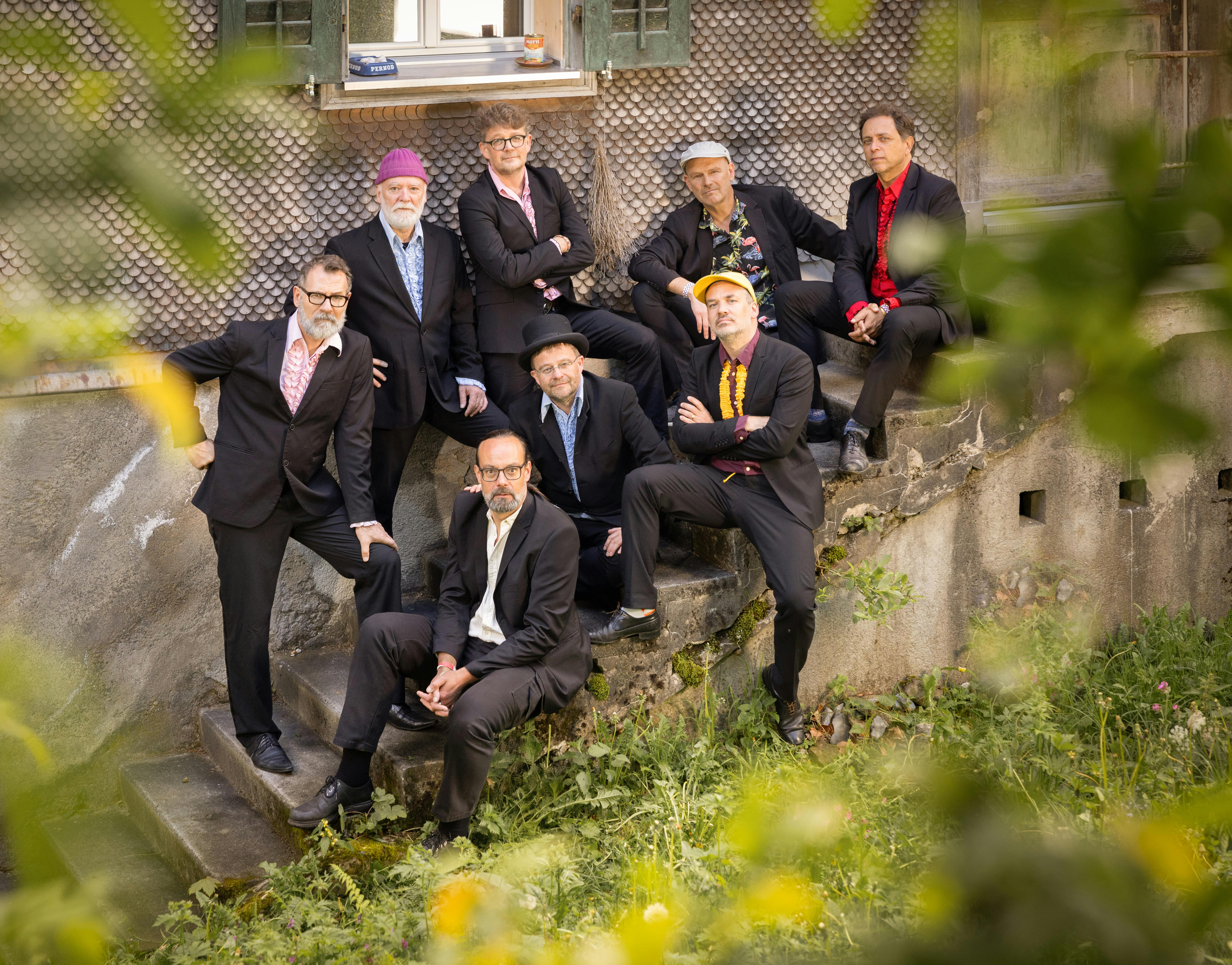 Jolly and the Flytrap