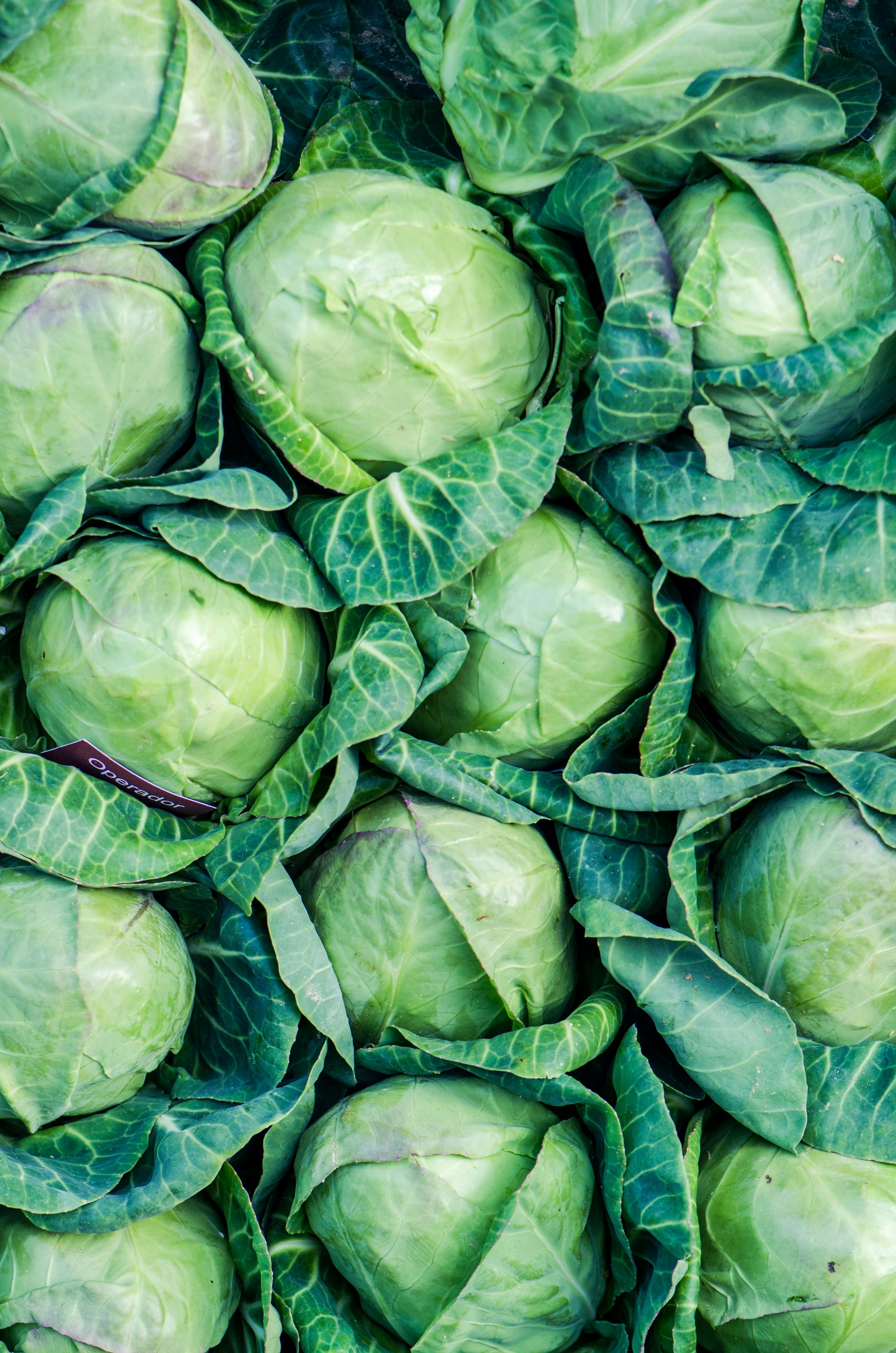 Sauerkraut stampfen