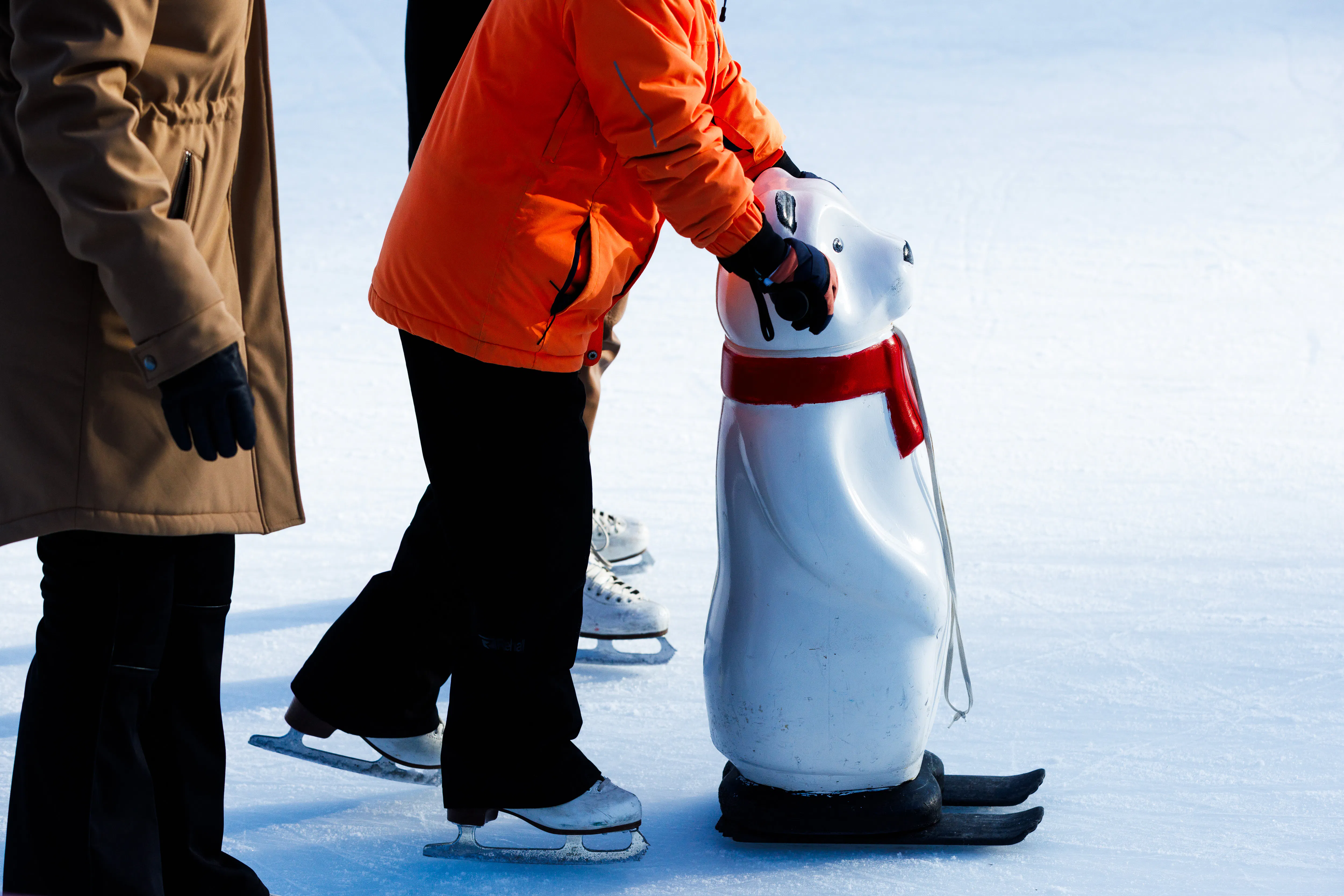 Familienticket Dolder Eisbahn