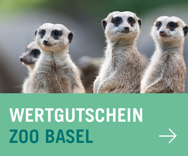 Wertgutschein Zoo Basel