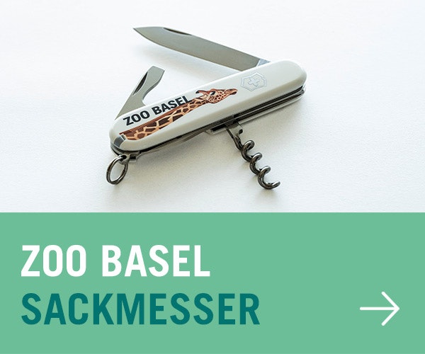 Zoo Basel Sackmesser
