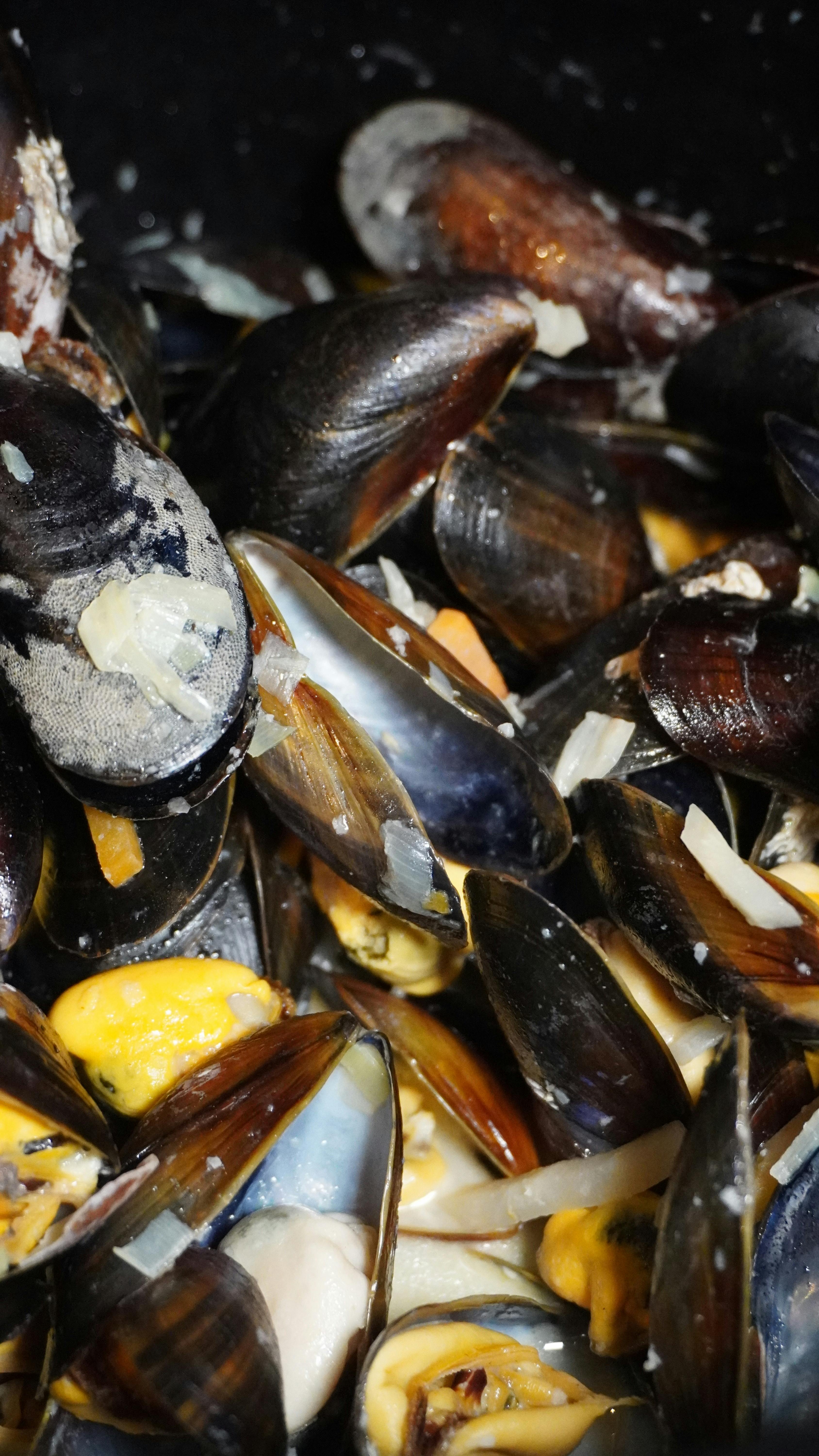 Moules et frites at Restaurant Mère Catherine