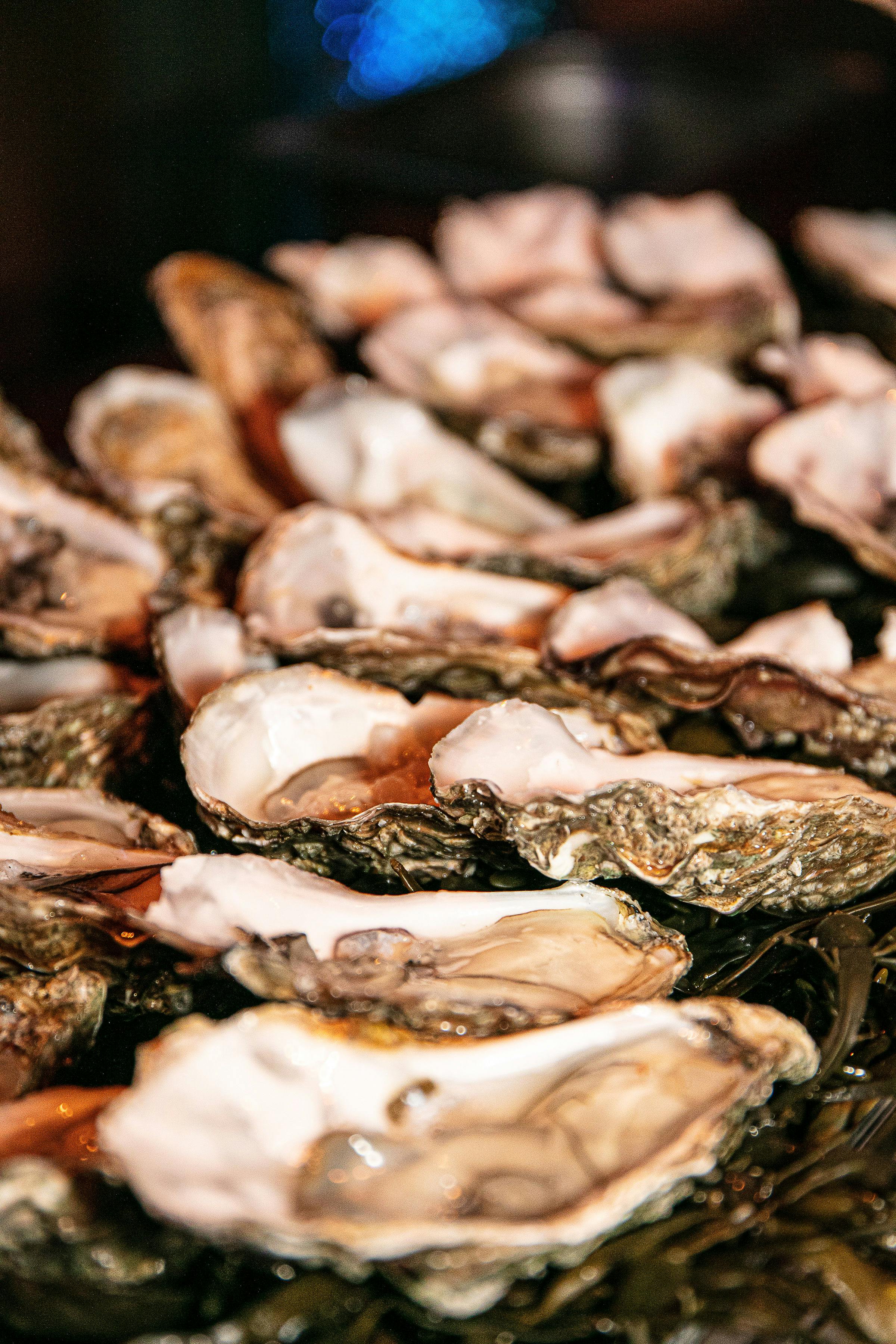 Oysters and champagne&nbsp;at bar&nbsp;Le Philosophe